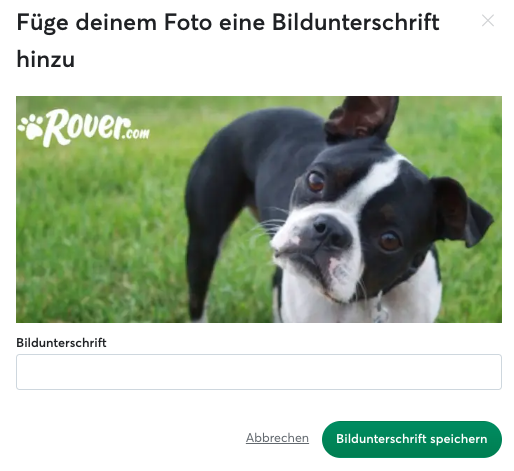 Photo_add_caption_DE.png